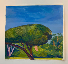 Load image into Gallery viewer, Conifer, Malibu