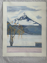 Load image into Gallery viewer, Willow Tree, Lake Wakatipu