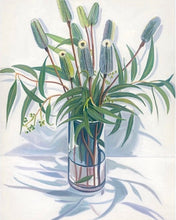 Load image into Gallery viewer, Banksias With Shadows ( Framed )