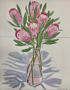 Proteas with Shadows